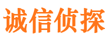 麦盖提市私家侦探